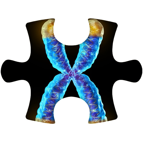 mitte_Thymus-und-Peptide Clever Aging