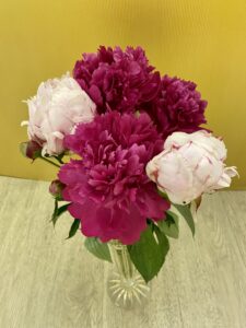 IMG_8280-225x300 23. Mai 2022